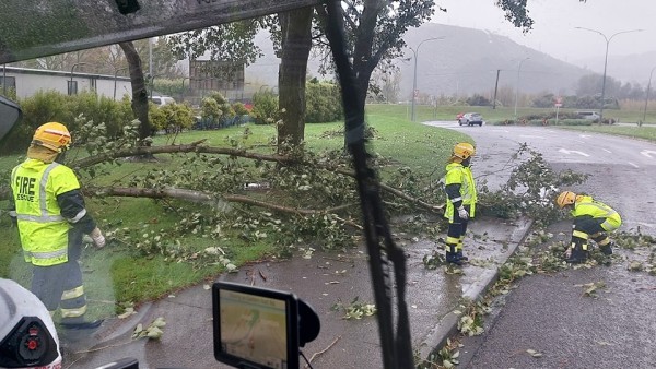 Silverstream Volunteer Fire Brigade clearing a fallen tree - Wellington Fire and Emergency
