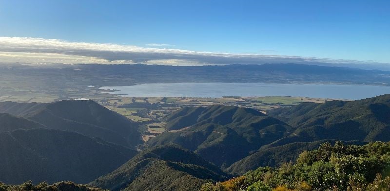 Panoramic view overlooking Carterton hills and coastline