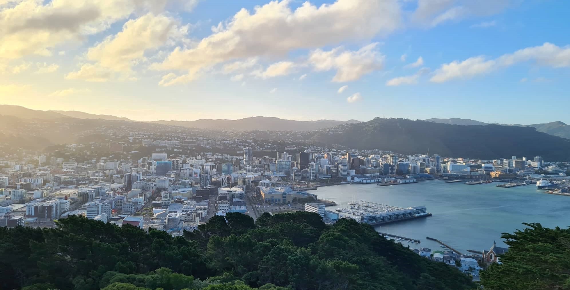 Panoramic view of Wellington harbour, surrounded by buildings and houses