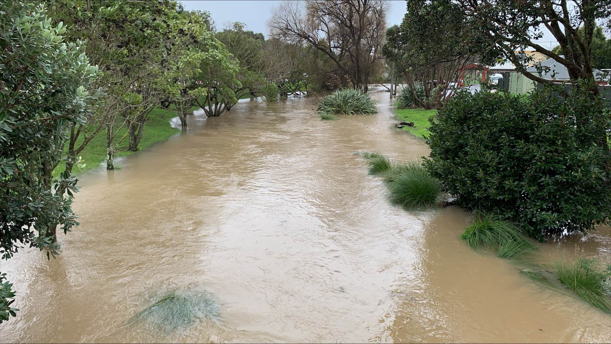 Flooded stream water overflowing onto grass and at the foot of trees that line the stream