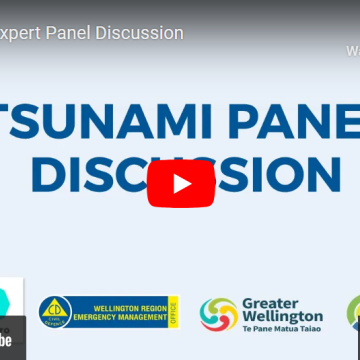Tsunami Expert Panel Discussion